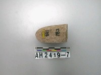 藏品(石錘)的圖片